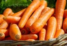 ¿Mito o realidad? La verdad científica sobre el efecto de la zanahoria en la vista