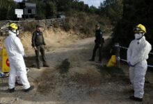 España detecta un caso de gripe porcina en una persona sin contacto con animales