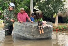 «El amor protege»: El conmovedor rescate de mascotas durante las lluvias en Colombia
