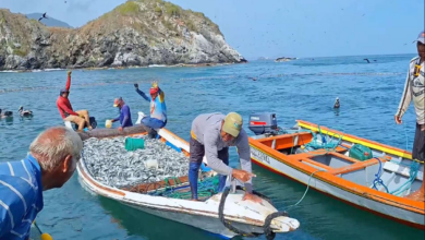 Ministerio de Pesca advierte sobre sanciones ante el irrespeto a la veda