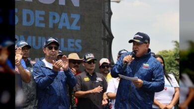 Cabello: La seguridad es responsabilidad entre Gobierno, Estado y Pueblo