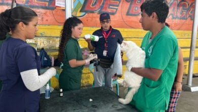 Dos comunidades del centro se benefician con jornada de salud para sus mascotas