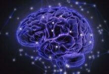 La ciencia explica cómo el cerebro se desintoxica durante el sueño profundo