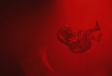 Crean útero artificial: el primer paso hacia la gestación fuera del cuerpo