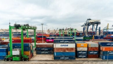 Venezuela exporta más de 160 toneladas de algas marinas a Chile