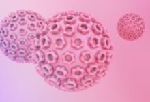 Día Internacional de Concienciación sobre el Virus del Papiloma Humano