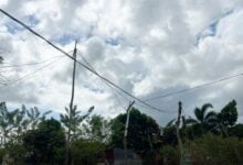 Establecer el sistema eléctrico es la prioridad en los proyectos comunales en Renacer