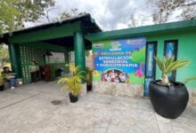 Programa de musicoterapia del parque La Guaricha suma atención psicológica