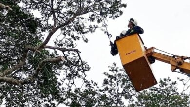 Corpoelec optimiza el circuito Potrerito para beneficiar a 3 mil monaguenses