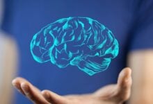 Descubren cómo el síndrome de Down afecta al cerebro antes del nacimiento