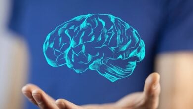 Descubren cómo el síndrome de Down afecta al cerebro antes del nacimiento