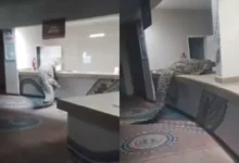 Capturan a un enorme cocodrilo tras colarse en el área de alimentos de un exclusivo hotel