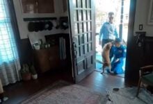 El tierno reencuentro de Christina Koch con su mascota tras la misión Artemis II