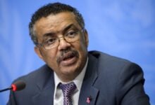 OMS descarta riesgo epidemiológico en Tenerife ante desembarco del MV Hondius