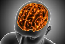Investigadores españoles desarrollan parche de seda para reparar el cerebro tras un ACV