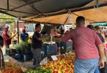 Maturineses prefieren los mercaditos para comprar frutas, verduras y vegetales