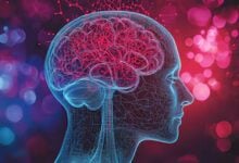 Perder grasa visceral podría mejorar tu rendimiento cognitivo