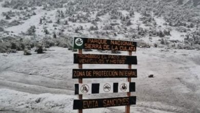Primera nevada de 2026 tiñe de blanco la Sierra de La Culata en Mérida