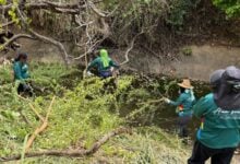 Protección ante las lluvias: Alcaldía de Maturín intensifica limpieza de caños