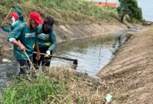 Limpian caño Las Carolinas para evitar desbordes por lluvias