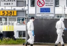 El brote de hantavirus deja más de 440 contactos bajo vigilancia en 30 países