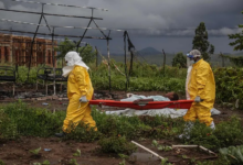 Fallecen tres voluntarios de la Cruz Roja contagiados de ébola durante una misión en el Congo