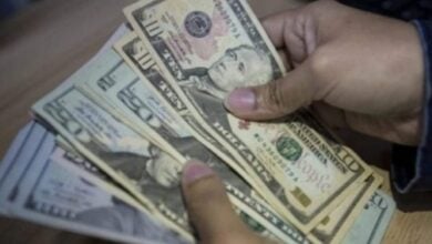 Así se distribuirá el Ingreso Mínimo Integral de $240