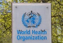 OMS advierte que el hantavirus es altamente contagioso al inicio de la enfermedad