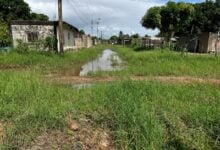 Como una selva están las calle del sector Santa Inés 1 en Maturín