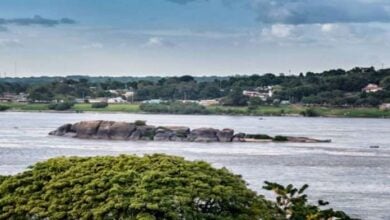 Niveles del río Orinoco en el estado Anzoátegui continúan en ascenso alarmante