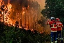 Portugal combate un gran incendio en el Algarve con 200 bomberos y ocho aviones