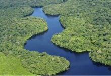 Amazonía brasileña recupera niveles hídricos tras dos años de sequía