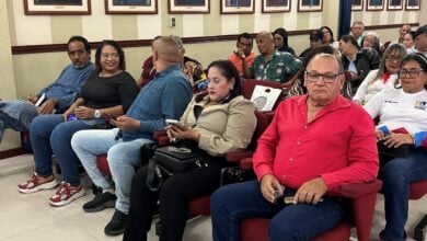 Más de 60 personas participaron en la 1era sesión ordinaria del Movimiento de Profesionales y Técnicos