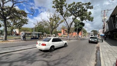 Maturineses: carritos piratas son una salvación pero nos arruinan el bolsillo