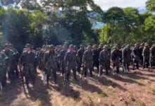 Colombia: 99 guerrilleros entregan sus fusiles en Putumayo