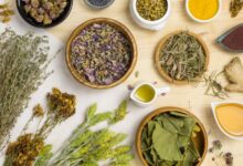 ¿Cómo limpiar los riñones de forma natural? 3 Plantas medicinales efectivas