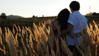 Día Mundial de la Fertilidad: borrar estigmas y prejuicios sobre la infertilidad
