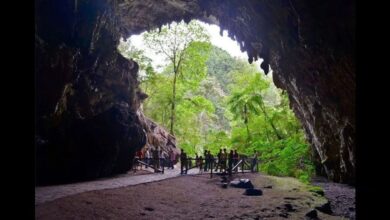 15 de julio de 1949: La Cueva del Guácharo es declarada Monumento Natural