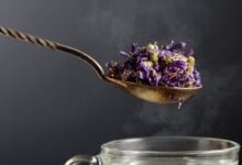 Malvavisco: la planta medicinal que alivia la tos y protege la mucosa gastrointestinal
