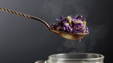 Malvavisco: la planta medicinal que alivia la tos y protege la mucosa gastrointestinal