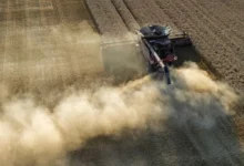 Ola de calor en Europa deja pérdidas de más de 2.000 millones de euros en la producción de cereales
