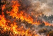 Evacúan a 700 vecinos de cinco pueblos de España por el avance del fuego