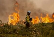 Incendios en Francia: Evacúan a 12.000 personas en la región de Gironda