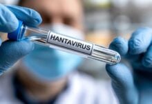 Chile declara alerta sanitaria en 13 regiones por aumento de letalidad del hantavirus