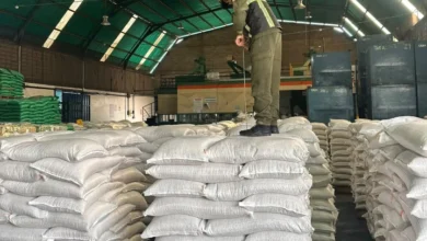 Lara exporta 43,2 toneladas de frijol mungo con destino a Francia