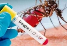 Alertan sobre los riesgos del dengue y la importancia de eliminar criaderos en su día internacional