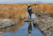 Sequía y altas temperaturas atípicas por El Niño encienden las alarmas en Bolivia