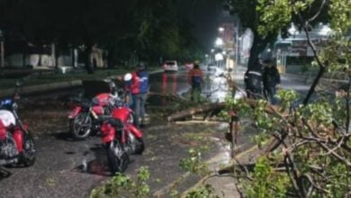 Onda tropical 37 causa inundaciones y caída de árboles en Aragua