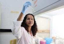IVIC desarrolla terapia con células madre para regenerar la piel