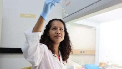 IVIC desarrolla terapia con células madre para regenerar la piel